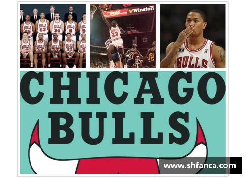 NBA球队历史总冠军排名及背景分析 - 副本